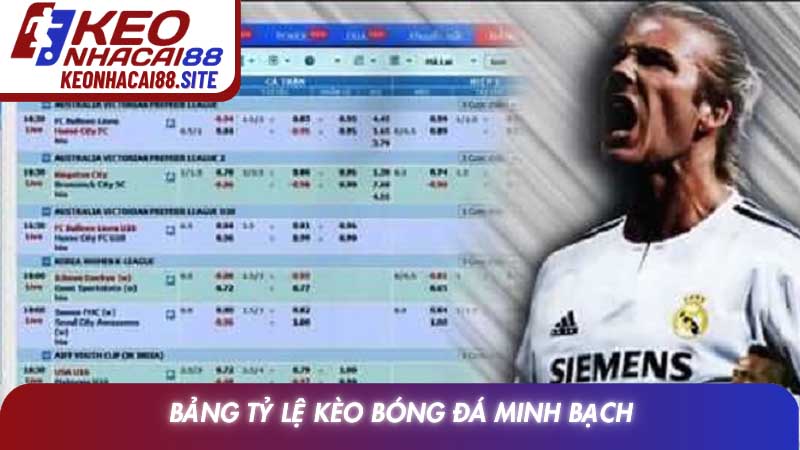 Cách nhận biết kèo dụ của nhà cái và bí quyết tối ưu lợi nhuận 3 Bảng tỷ lệ kèo bóng đá minh bạch 2026